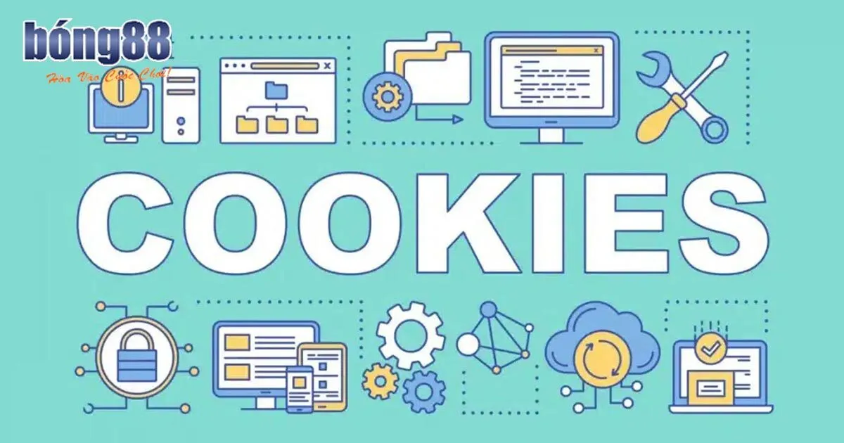 Đôi nét về chính sách cookie Bong88